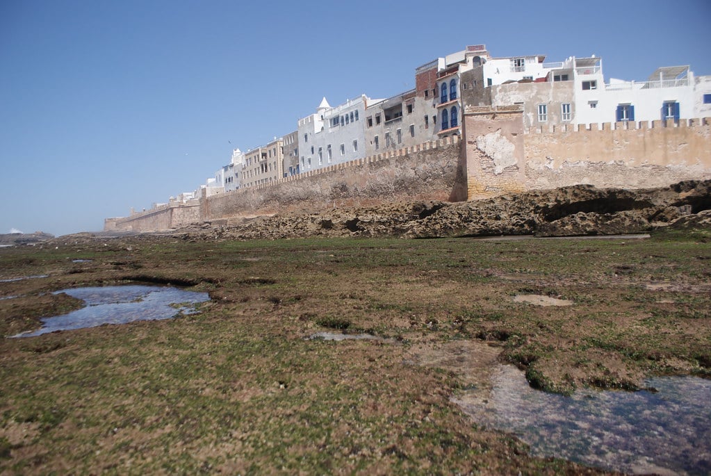 > La cité d'Essaouira au Maroc (côte Atlantique) derrière ses fortifications portugaises.