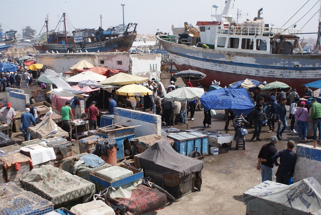 > Le marché aux poissons sur le port d'Essaouira.