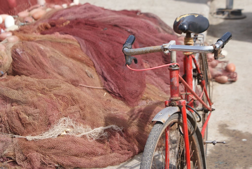 > Si vous voulez sortir de la Médina, un vélo peut être pratique sinon vous ferez tout à pied sans problème.