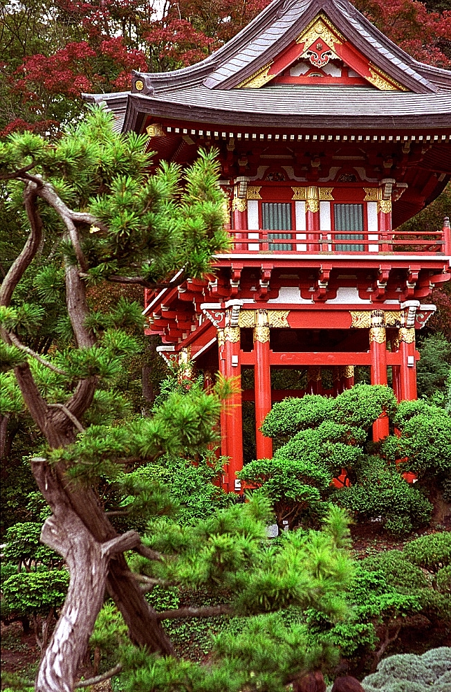 Temple du Japanese Tea Garden au Golden Gate Park de San Francisco - Photo de David Ohmer