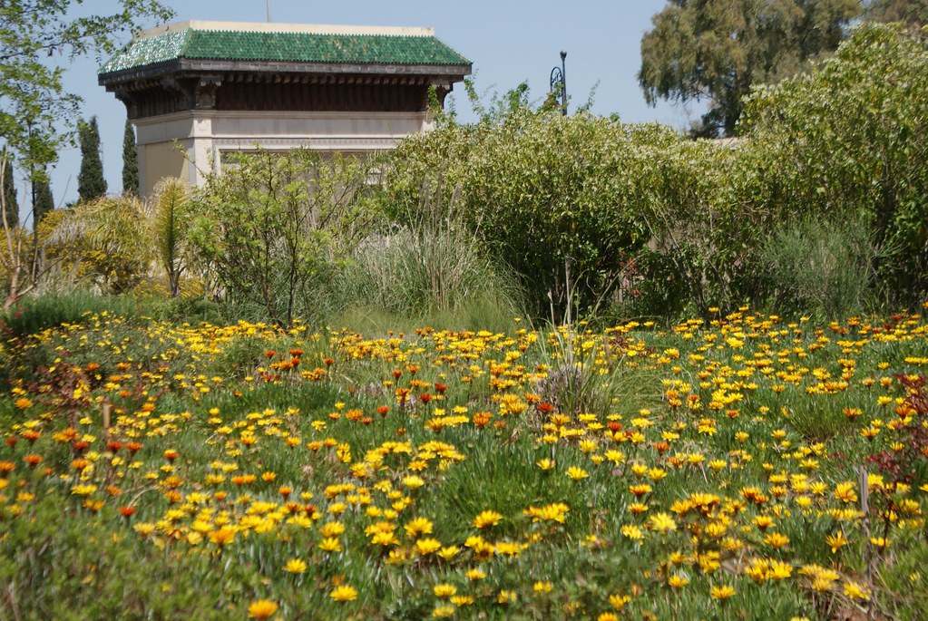 Parterre de fleurs dans le jardin Jnan Sbil du quartier de Jdid à Fès.