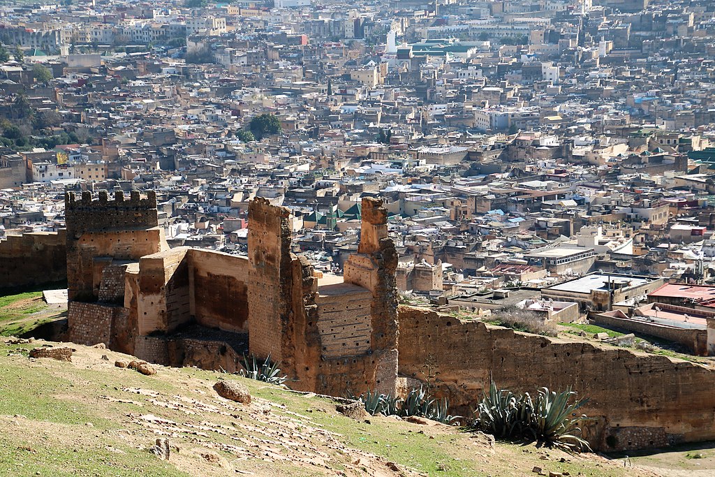 Vue sur la Médina de Fès depuis les tombeaux mérinides - Photo de Werner100359