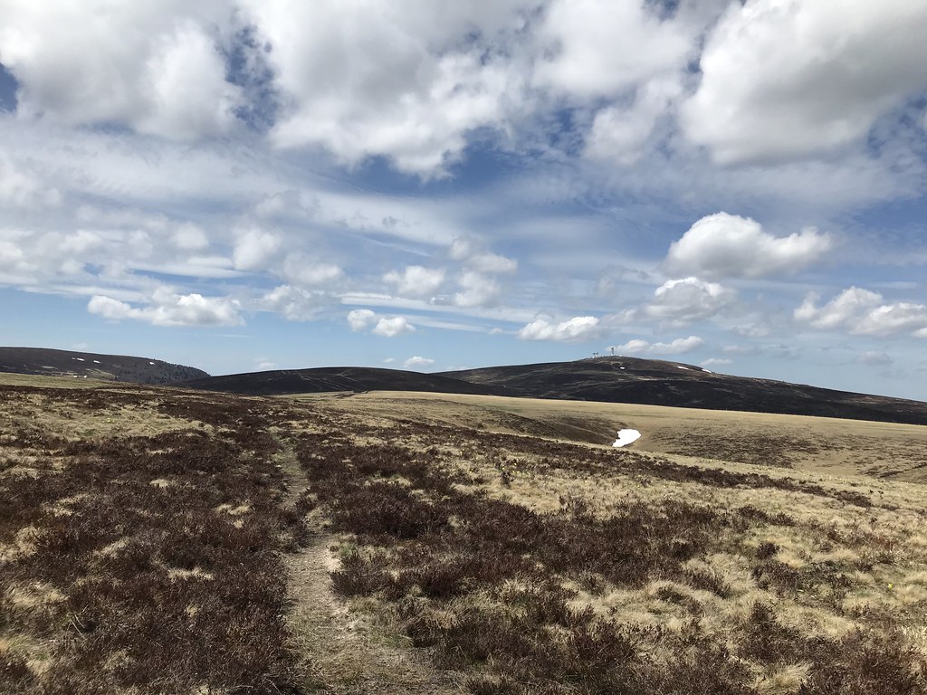 Sur un plateau des Monts du Forez.