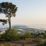 Entre Marseillan et Sète : 5 escales au bord de l&rsquo;étang de Thau
