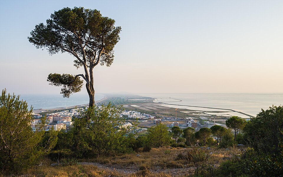 Entre Marseillan et Sète : 5 escales au bord de l’étang de Thau