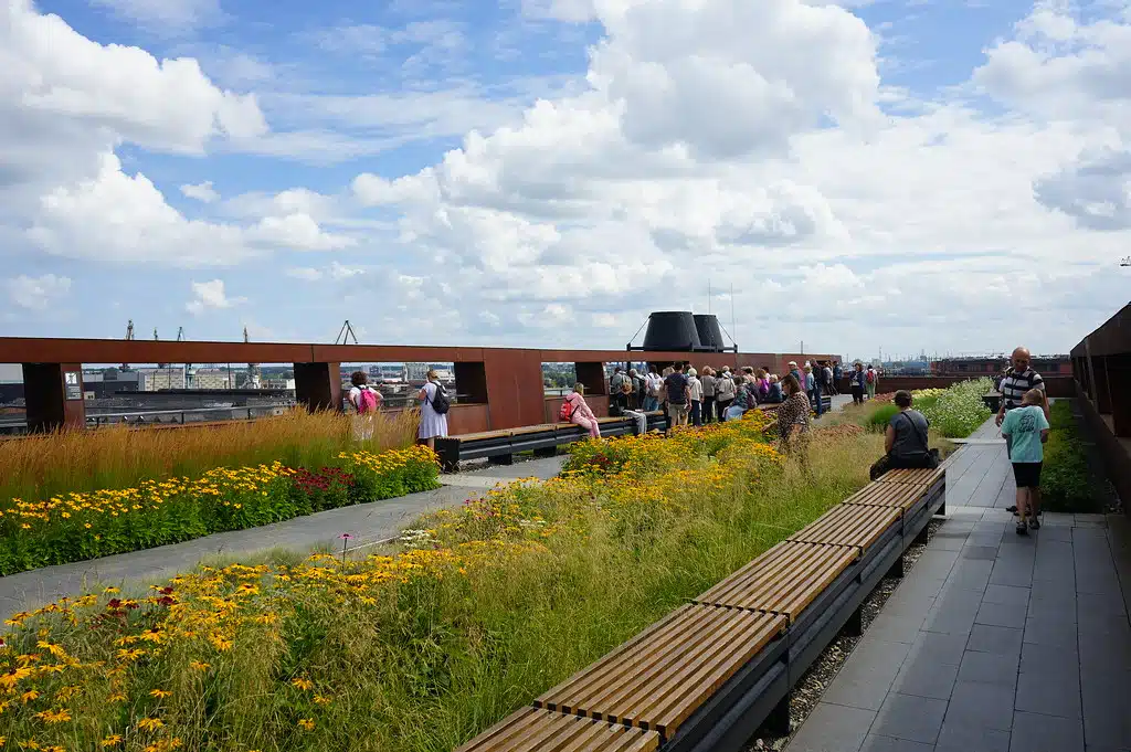 Toit vegetalisé du Centre européen de Solidarité (Europejskie Centrum Solidarnosci) à Gdansk.