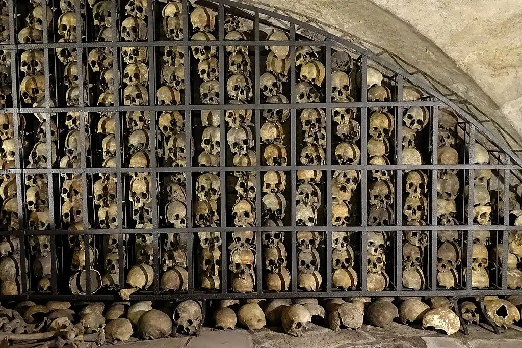 Crânes dans la crypte de l'église Sainte Brigitte à Gdansk - Photo de Robert Niedzwiedzki - licence ccbysa 4.0