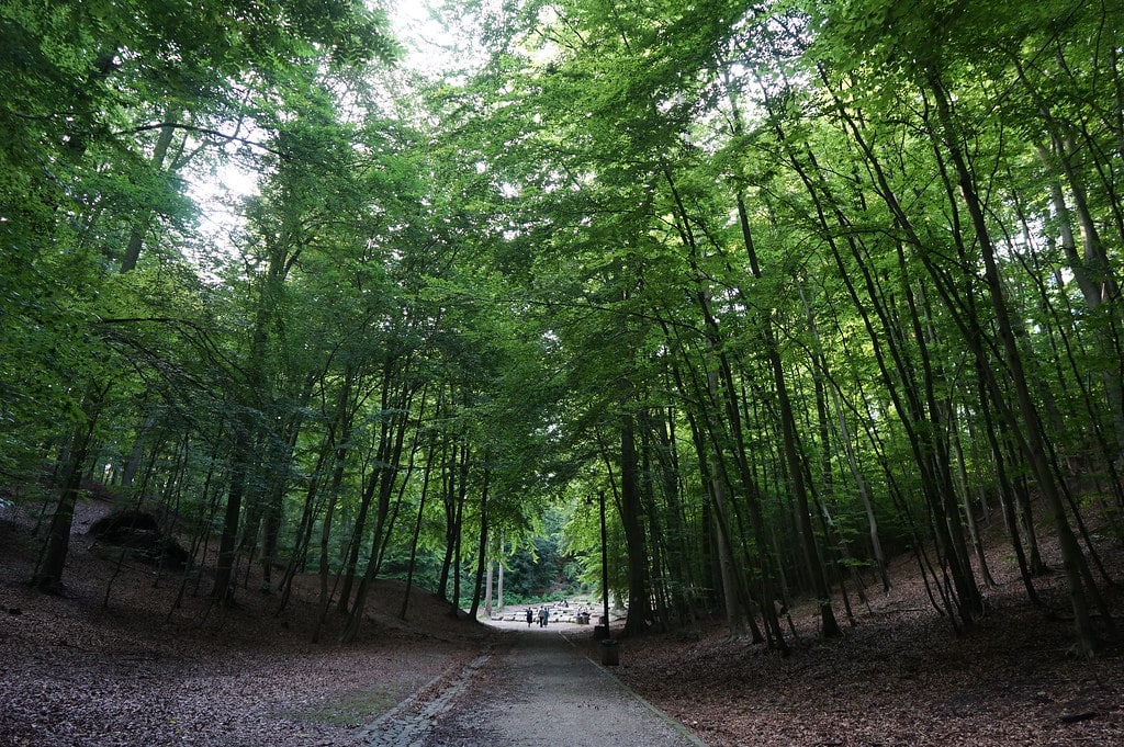 Park Jaskowej Doliny dans le quartier de Wrzeszcz à Gdansk.