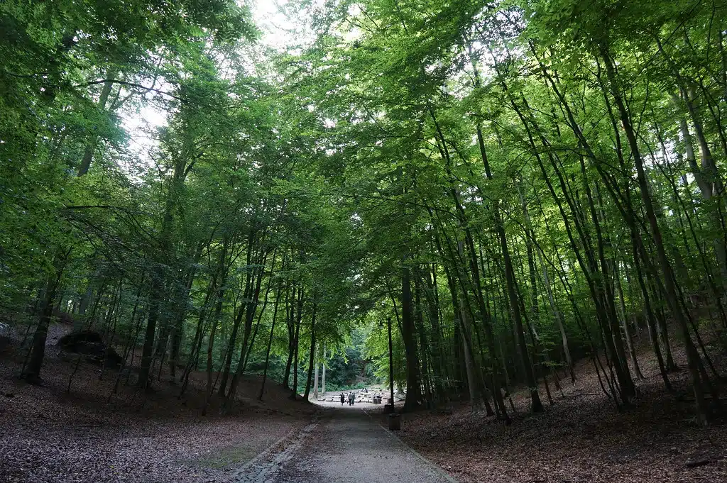 Park Jaskowej Doliny dans le quartier de Wrzeszcz à Gdansk.