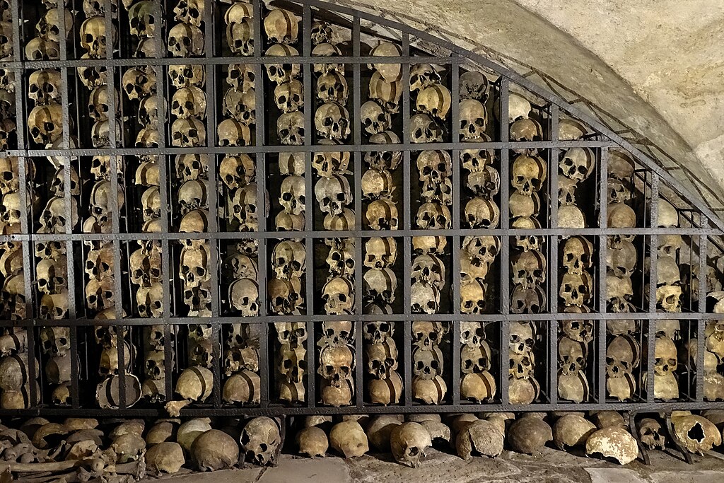 Crânes dans la crypte de l'église Sainte Brigitte à Gdansk - Photo de Robert Niedzwiedzki - licence ccbysa 4.0