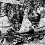 Musée ethnographique d&rsquo;Oliwa à Gdańsk : vie rurale de Poméranie et de Cachoubie