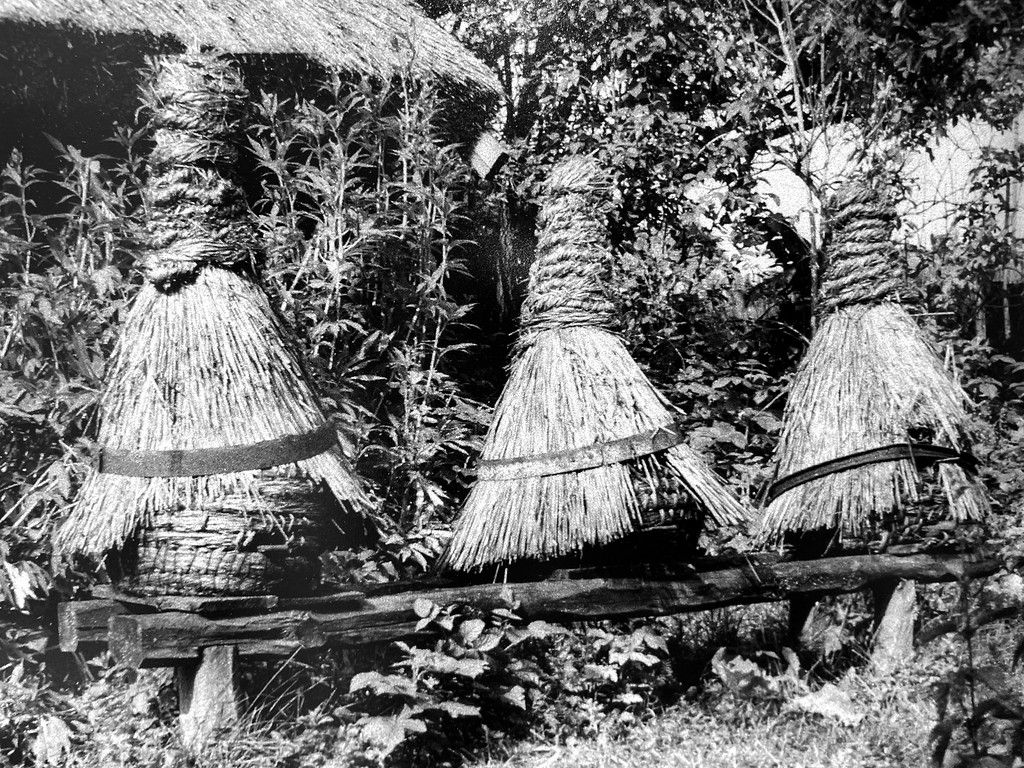 Ruches traditionnelles dans le Musée d'ethnographie d'Oliwa à Gdansk.