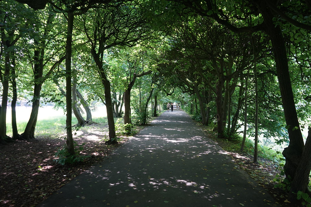 Parc d’Oliwa à Gdańsk : jardin des abbés, palmeraie et grottes des murmures