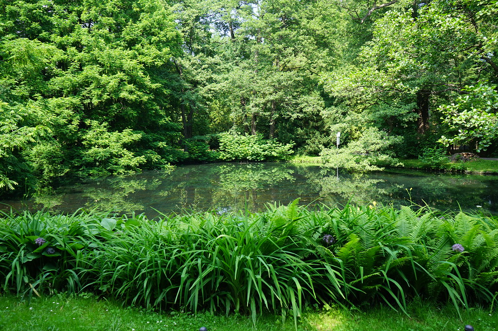 Etang du parc d'Oliwa à Gdansk.
