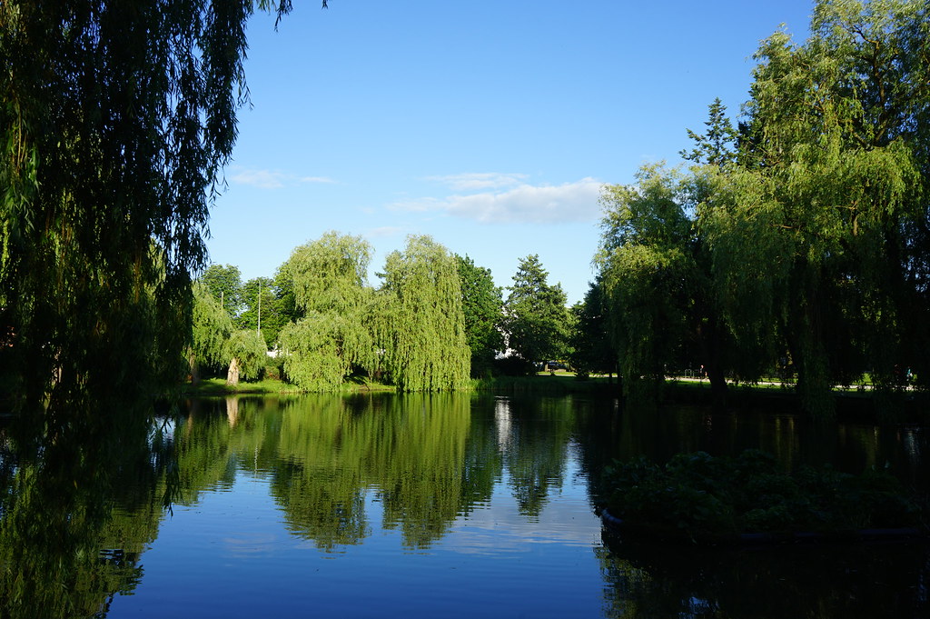 Etang dans le parc Orunski à Gdansk.