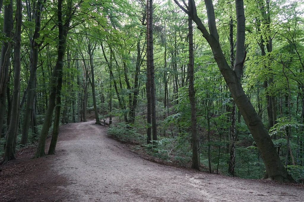 Park Jaskowej Doliny dans le quartier de Wrzeszcz à Gdansk.