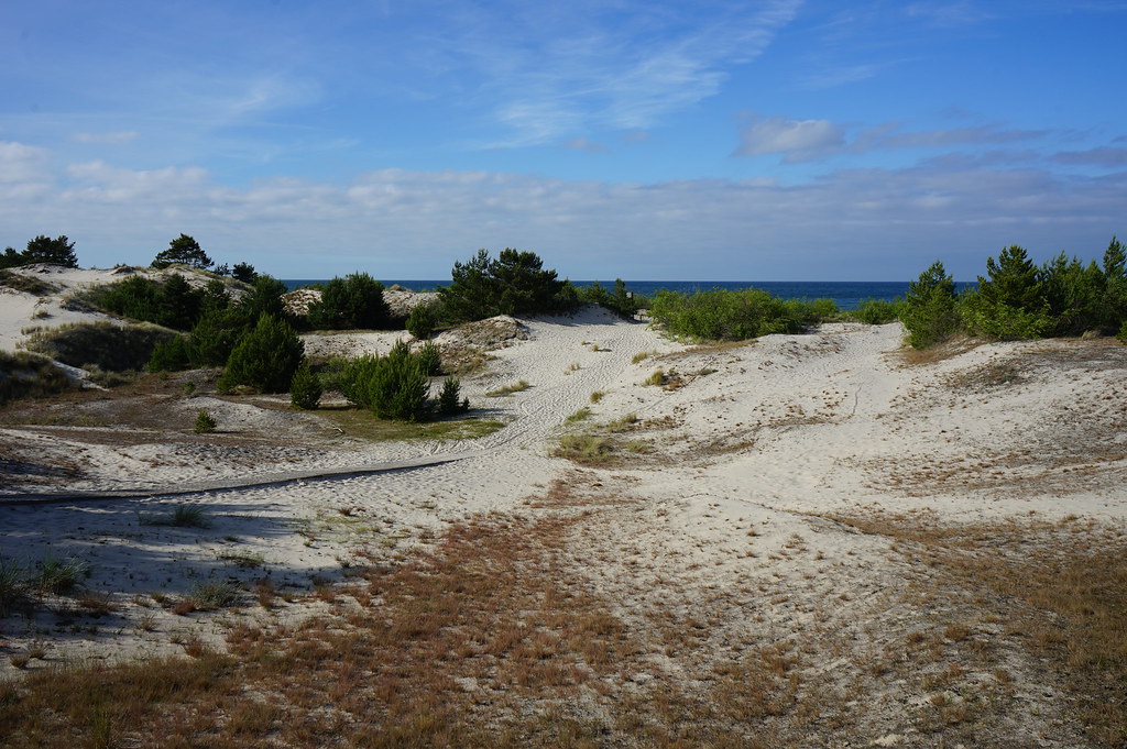 Dans la Réserve Naturelle des dunes de Hel.