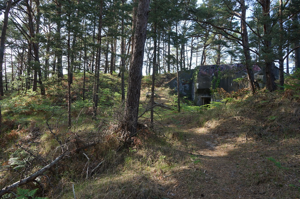 Fortifications militaires dans la Réserve Naturelle des dunes de Hel.