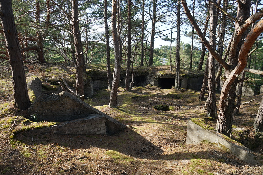 Fortifications militaires dans la Réserve Naturelle des dunes de Hel.