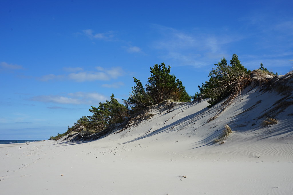 Plage de la Réserve Naturelle des dunes de Hel.