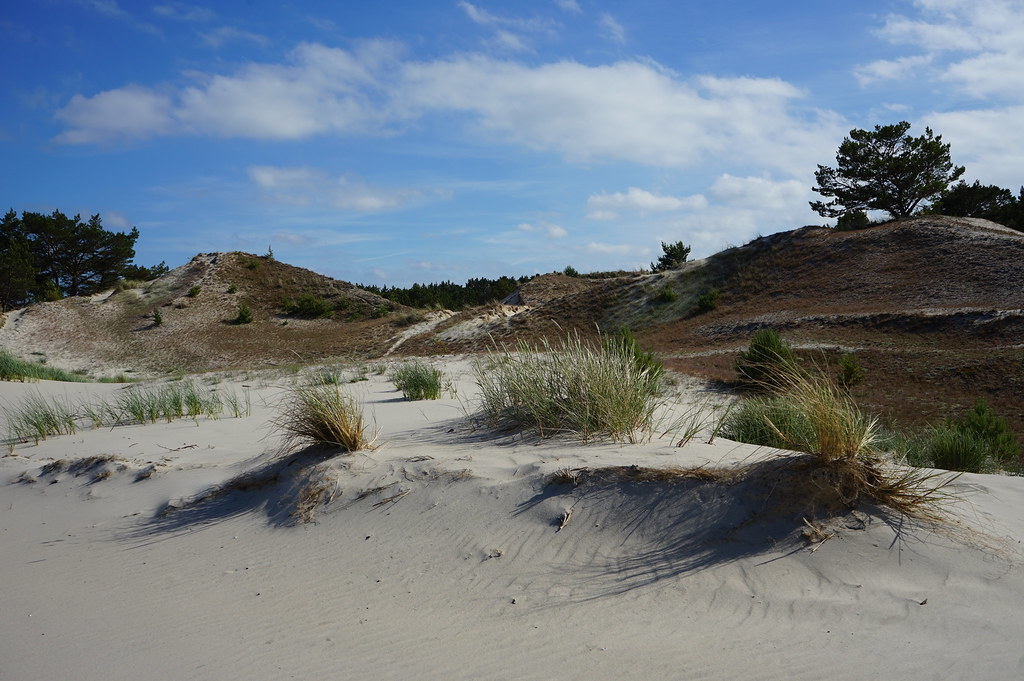 Dans la Réserve Naturelle des dunes de Hel.