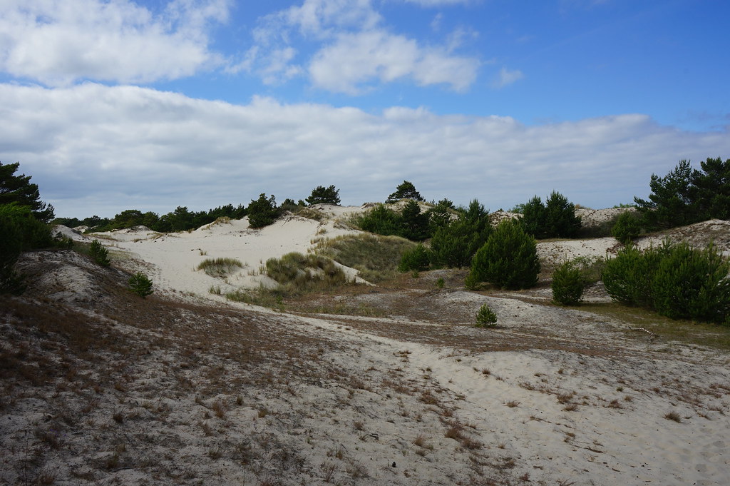 Dans la Réserve Naturelle des dunes de Hel.