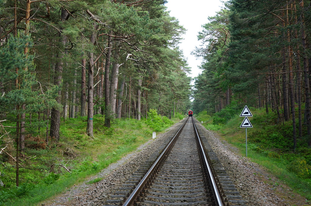 Voie de chemin de fer sur la presqu'Île de Hel.