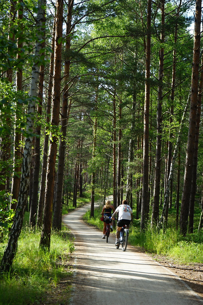 Piste cyclable sur la presqu'île de Hel.
