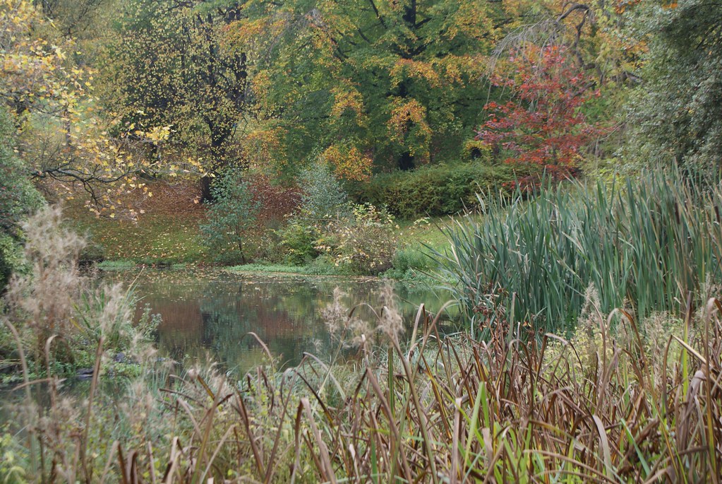 Spectacle de couleurs automnales dans le Kelvingrove park à Glasgow.