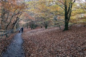 Météo Glasgow : Prévision à 15 jours, climat & quand venir ?