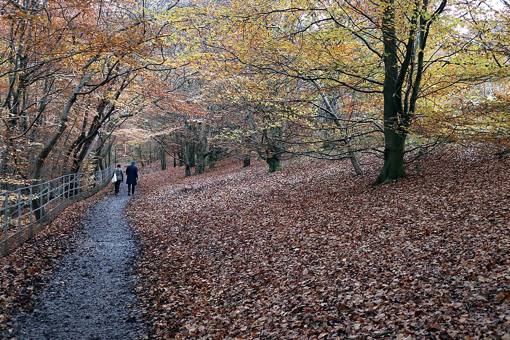 Quand venir à Glasgow en Ecosse ? Climat et météo à 7 jours. Photo du Linn Park de Compo