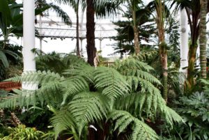 People Museum Palace de Glasgow : Botanique et histoire [East End]