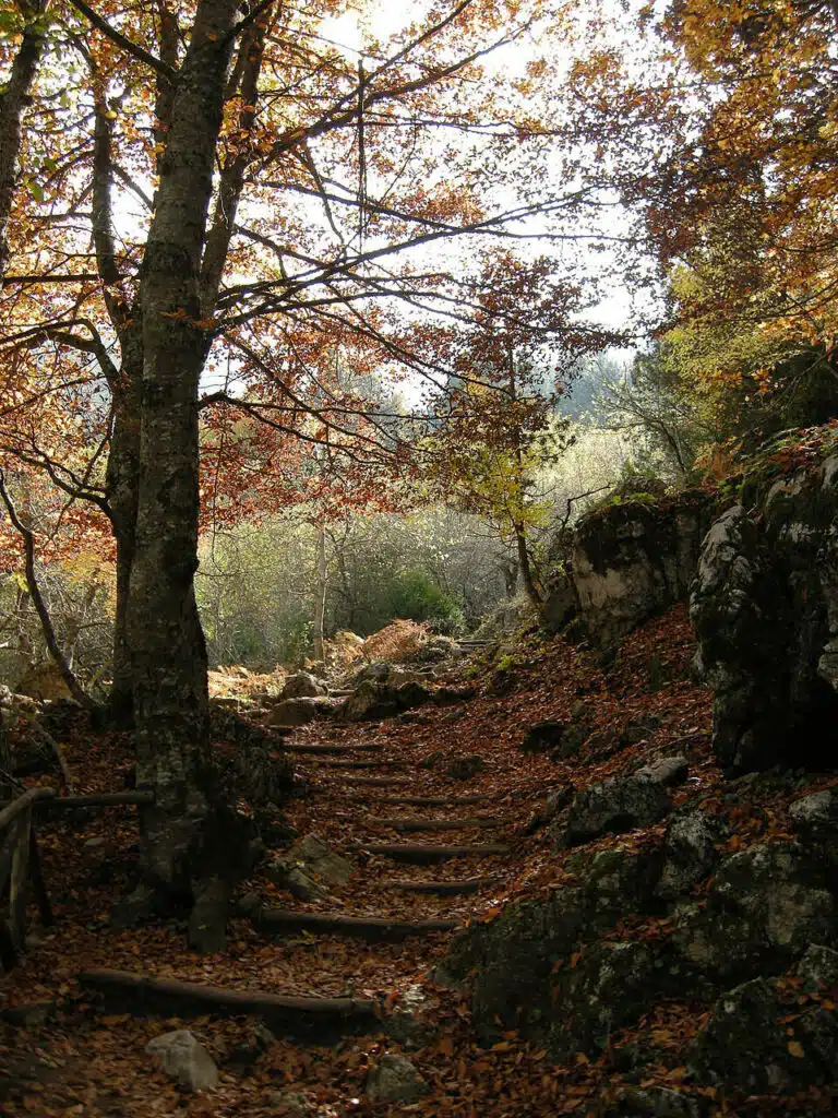 Sentiers de radonnées au dessus de Litochoro - Photo de Plakle - Licence ccbysa 4.0