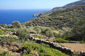Carte de Sifnos (Grèce) : Tous les lieux du guide