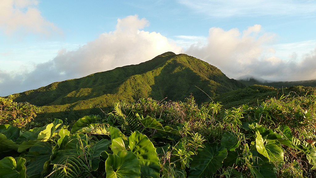 Dans le Parc national de Guadeloupe - Photo de Boisseau Marc - Licence CC BY SA 4.0