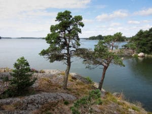 Helsinki incontournable : Le meilleur de la capitale de la Finlande
