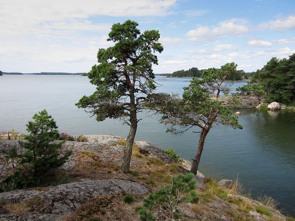 Paysage de Finlande : Sur la mer Baltique près d'Helsinki - Photo de RalfR