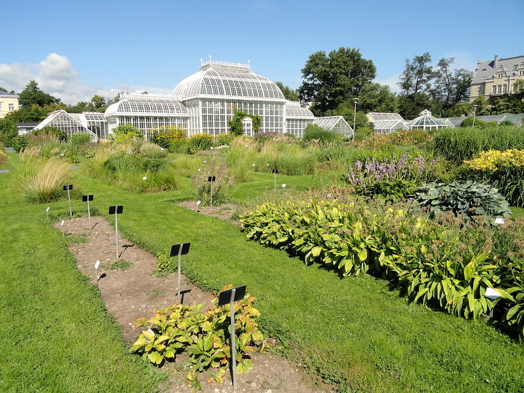 Serre du jardin botanique d'Helsinki - Photo de Daderot