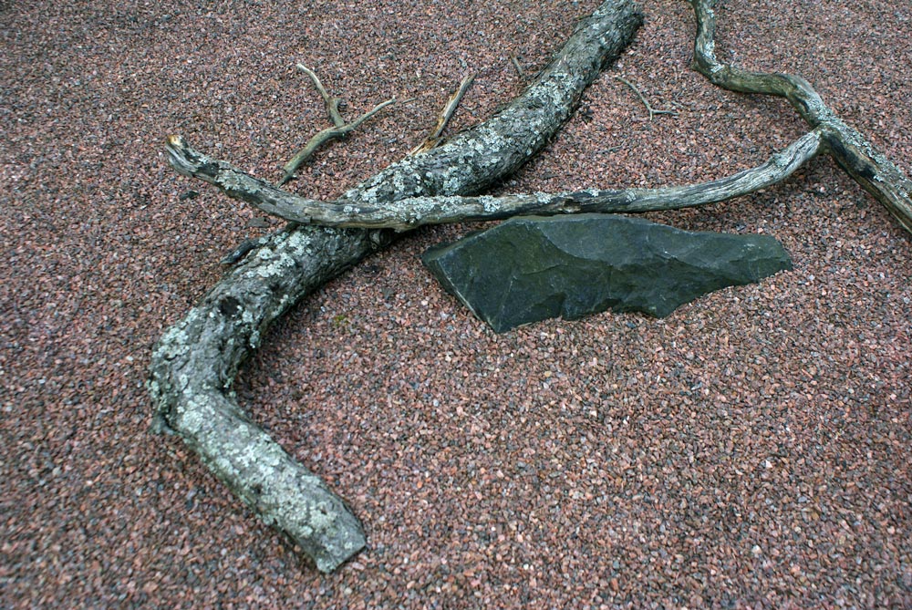 Jardin de lichens du jardin botanique d'Helsinki.