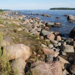 Île de Lauttasaari à Helsinki, plage et bois de pins