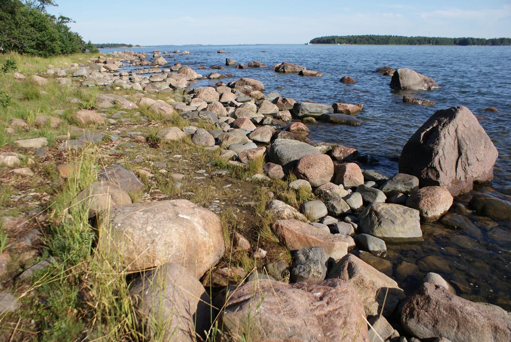 Île de Lauttasaari à Helsinki, plage et bois de pins