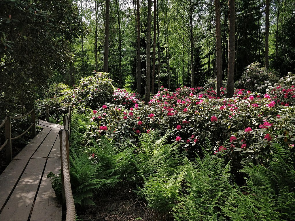 Parc des rhododendrons à Helsinki - Photo de Rutlandbaconsouthamptonshakespeare