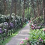 5 parcs et jardins à Helsinki : Beaux, insolites, sauvages et surprenants