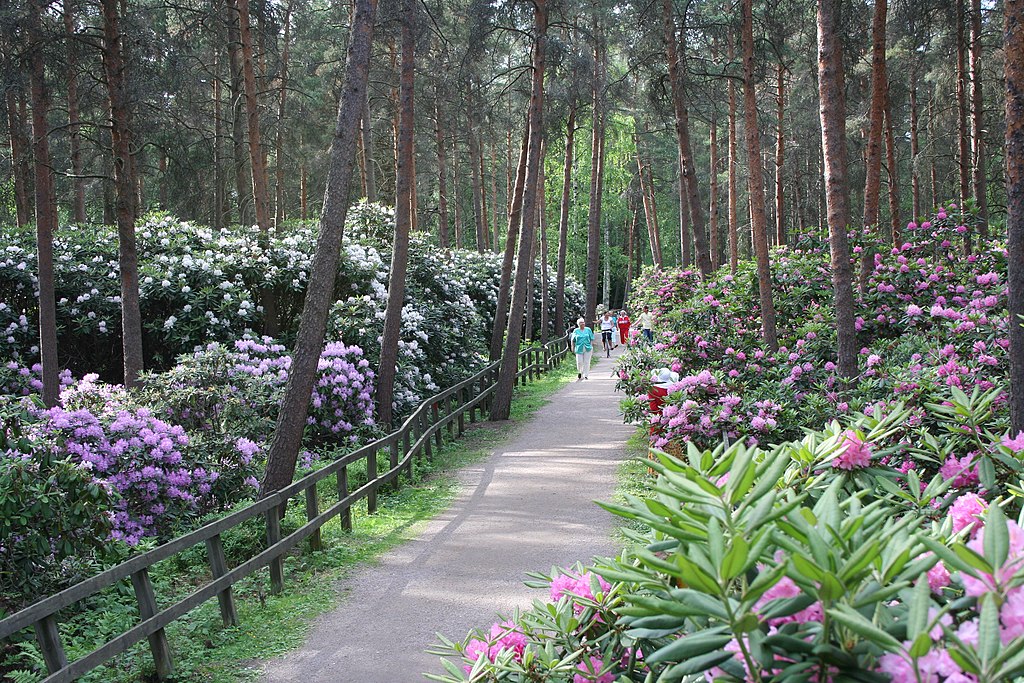 Parc des rhododendrons à Helsinki - Photo de Ninara