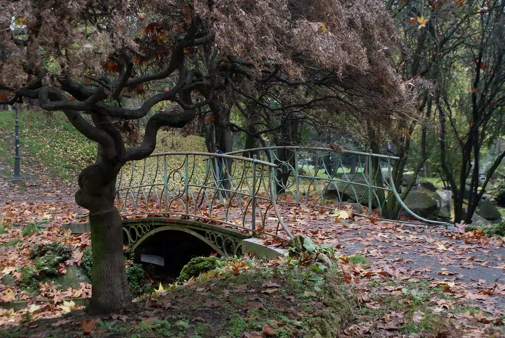 Dans le parc Valentino à Turin.