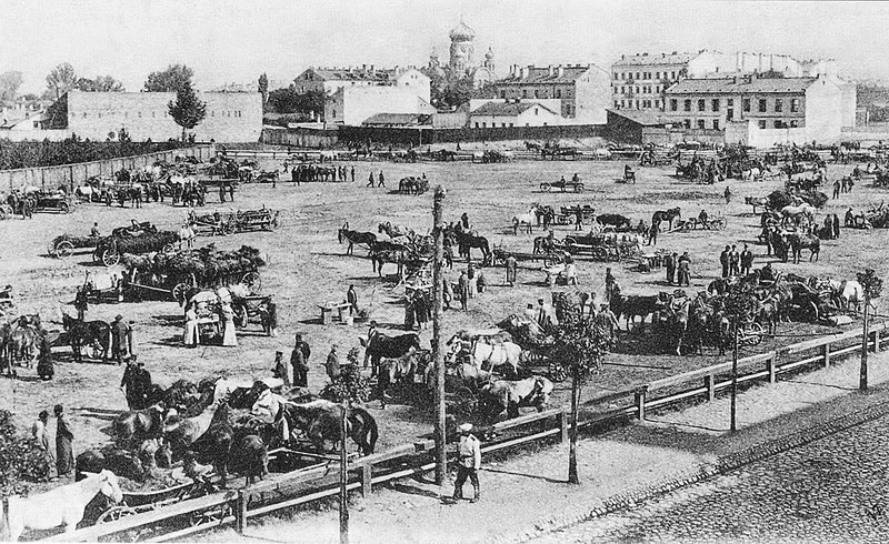 Marché aux chevaux dans le quartier de Praga à Varsovie vers 1900.