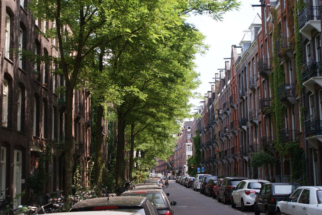 > Une belle rue arborée du quartier du Pijp à Amsterdam.