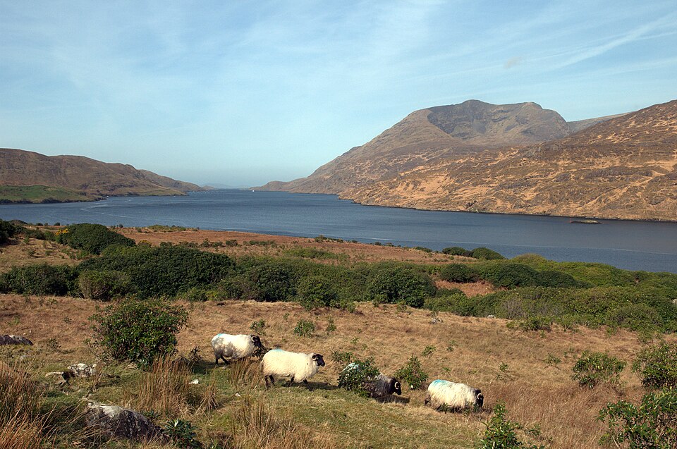 Paysage de Connemara en Irlande - Photo de Michal Osmenda - Licence ccbysa 2.0