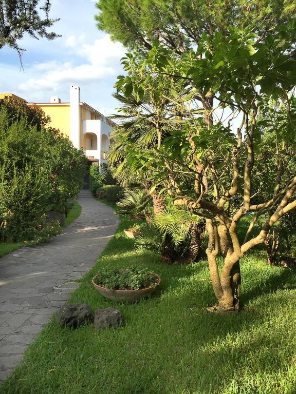 Jardin de l'Hotel San Giovanni Terme à Porto Ischia.