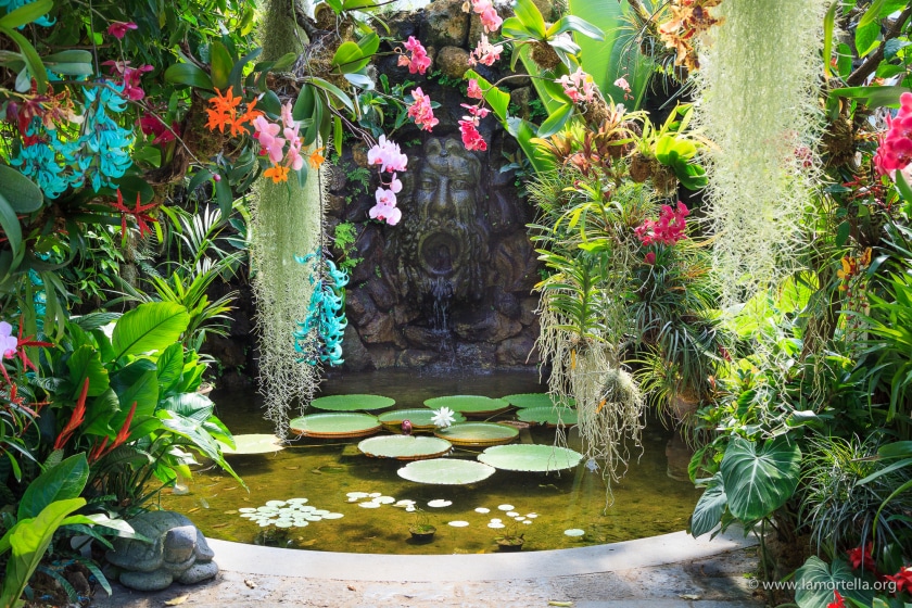 Jardin botanique Mortella à Ischia près Naples.